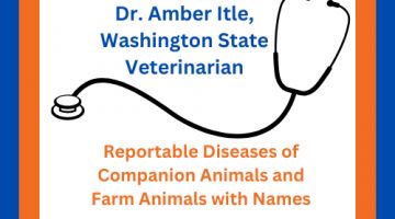 A night with Dr. Amber Itle, Washington State Veterinarian