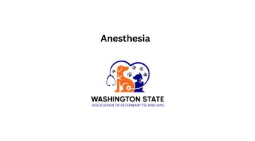 Anesthesia with Donna Sisak